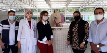 Secretária de Direito da Pessoa com Deficiência de Ibiúna visita o Centro Municipal de Equoterapia de Barueri