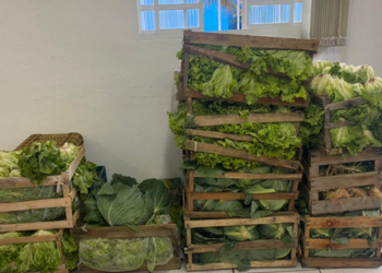 Secretaria de Meio Ambiente distribui alimentos doados na Procissão dos Lavradores