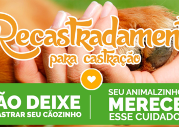 Centro de Controle de Zoonoses inicia recadastramento para castração