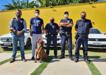 GCM recebe doação de um novo cão