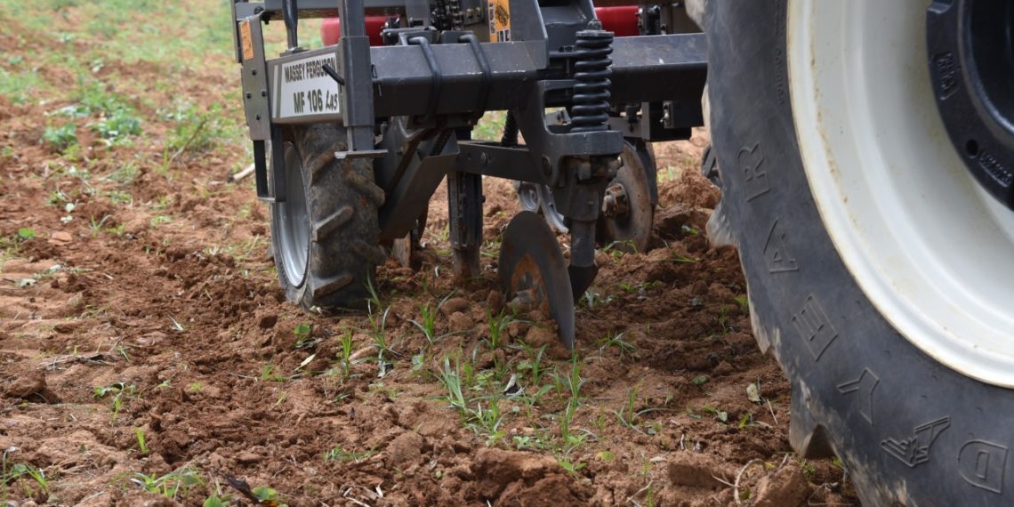 Secretaria de Agricultura: Produtores de Ibiúna podem solicitar a Patrulha Agrícola
