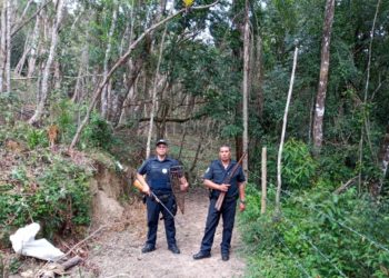 GCM apreende armas em local de desmatamento e queimadas