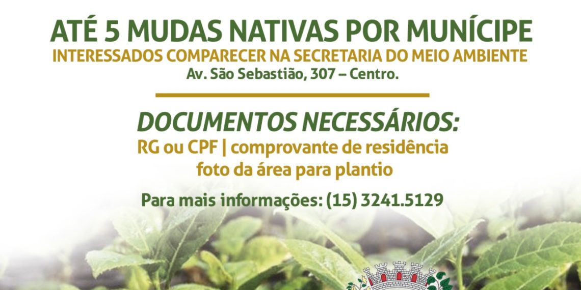 Secretaria do Meio Ambiente doa mudas nativas para a população
