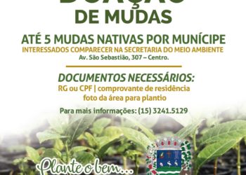 Secretaria do Meio Ambiente doa mudas nativas para a população