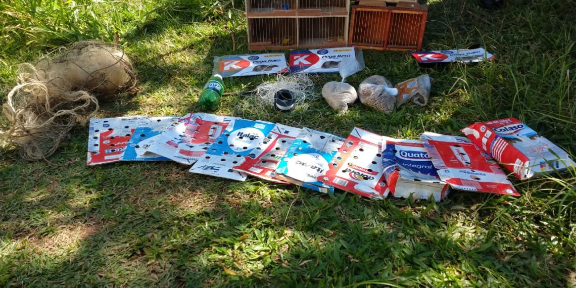 Caçador de passarinhos é detido com arma raspada