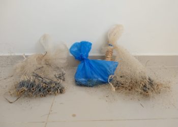 GCM flagra indivíduos em pesca predatória