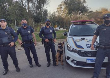 GCM apreende entorpecentes com ajuda do cão Zeus