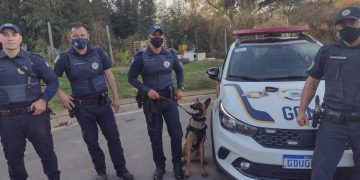 GCM apreende entorpecentes com ajuda do cão Zeus