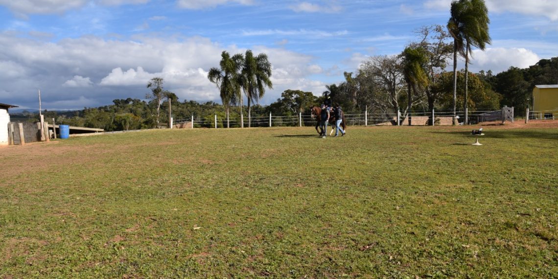 Prefeitura de Ibiúna realiza projeto ‘Centro de Convívio’ com a Casa da Criança