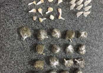 GCM continua combatendo o tráfico de entorpecentes