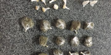 GCM continua combatendo o tráfico de entorpecentes