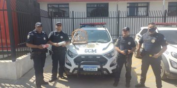 GCM prende dois caçadores de passarinhos
