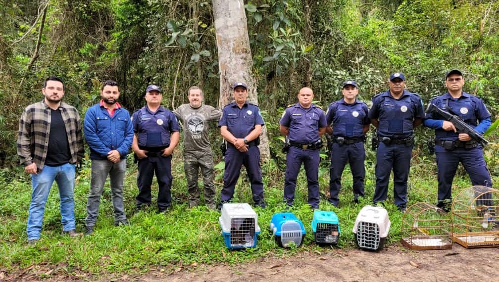 Secretaria de Meio Ambiente e Patrulha Ambiental da GCM resgatam diversos animais durante o mês de setembro