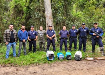 Secretaria de Meio Ambiente e Patrulha Ambiental da GCM resgatam diversos animais durante o mês de setembro