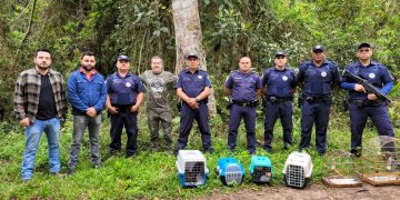 Secretaria de Meio Ambiente e Patrulha Ambiental da GCM resgatam diversos animais durante o mês de setembro