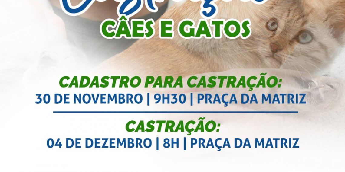 Cadastro para castrações de cães e gatos abre no dia 30 de novembro