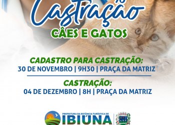 Cadastro para castrações de cães e gatos abre no dia 30 de novembro