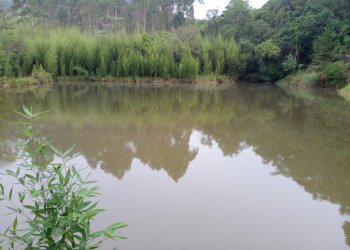 Patrulha Ambiental atende ocorrência de homicídio e encontra vítima