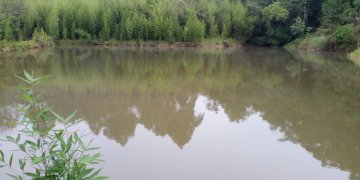 Patrulha Ambiental atende ocorrência de homicídio e encontra vítima