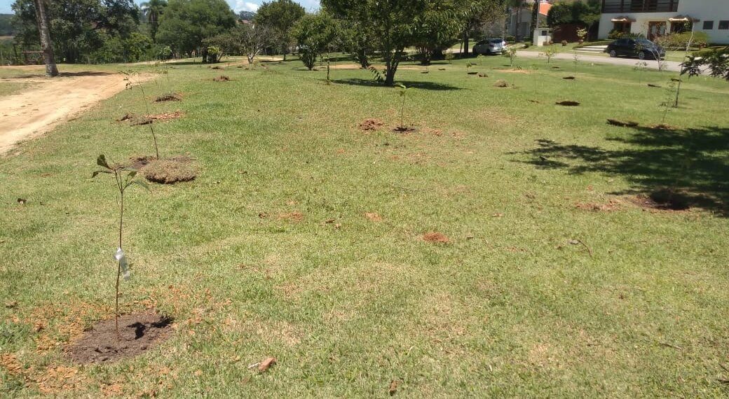 Secretaria de Meio Ambiente e Condomínio Porto fazem parceria para plantação de mudas