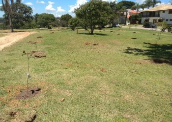 Secretaria de Meio Ambiente e Condomínio Porto fazem parceria para plantação de mudas