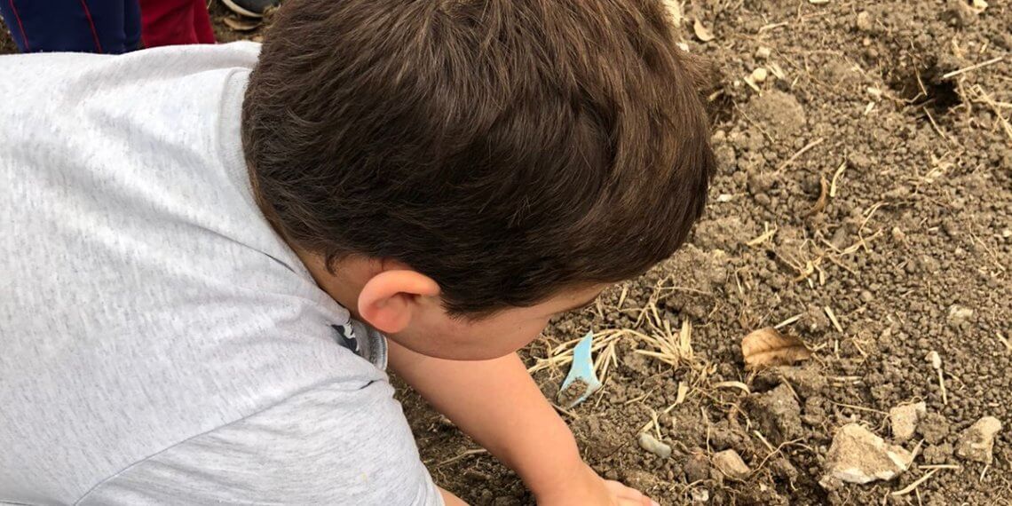 Secretaria da Agricultura e da Educação realizam projeto ‘Horta nas Escolas’