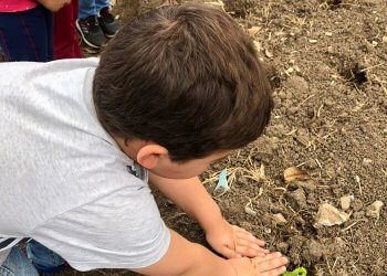 Secretaria da Agricultura e da Educação realizam projeto ‘Horta nas Escolas’