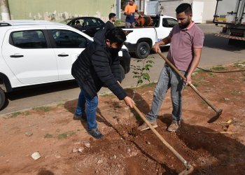 Semana do Meio Ambiente tem plantio de mudas