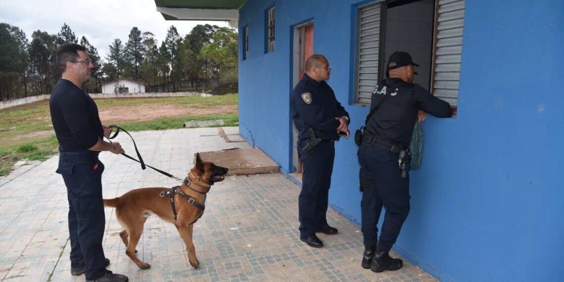 EQUIPE DO CANIL DAS GCMS DE IBIÚNA, EMBU DAS ARTES, SÃO ROQUE E JUNDIAÍ REALIZARAM TREINAMENTO EM CONJUNTO
