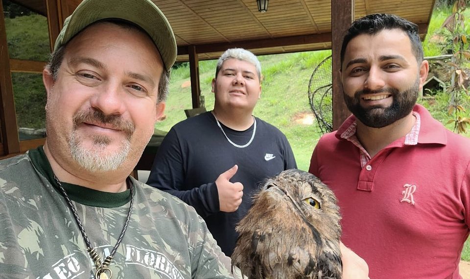 AVE FERIDA POR LINHA DE PIPA É ENCAMINHADA PARA REABILITAÇÃO