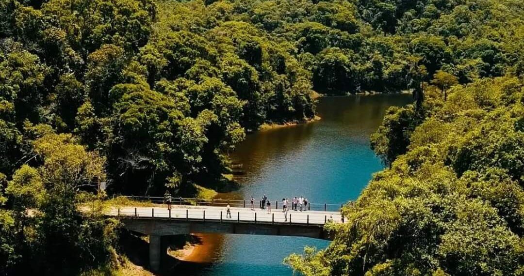 Consulta pública presencial sobre a implementação do Distrito Turístico “Portal da Mata Atlântica”