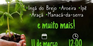 Doação de mudas de diversas espécies na Feira da Capelinha dia 11 de Março. Participe!