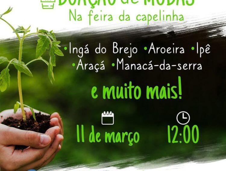 Doação de mudas de diversas espécies na Feira da Capelinha dia 11 de Março. Participe!