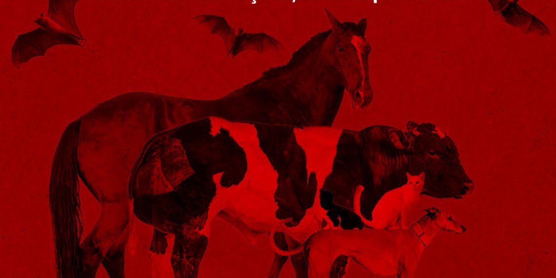 Zoonoses e a Secretaria de Agricultura alertam para casos de raiva na região