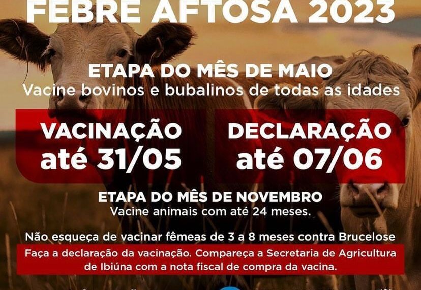  Vacinação contra febre Aftosa