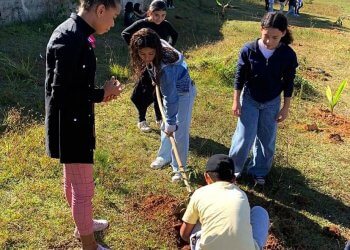 Semana do Meio Ambiente