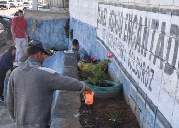 Curso ensina técnicas de Jardinagem