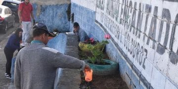 Curso ensina técnicas de Jardinagem