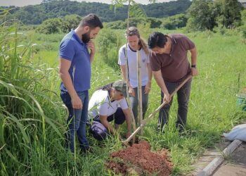 Prefeitura já doou mais de 10 mil mudas de árvore