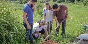 Prefeitura já doou mais de 10 mil mudas de árvore