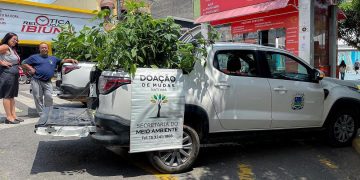 PREFEITURA DOOU 150 MUDAS DE IPÊS ROSA NO DIA DAS MULHERES 