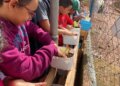 Prefeitura de Ibiúna leva educação ambiental com o projeto “Horta nas Escolas”