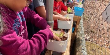 Prefeitura de Ibiúna leva educação ambiental com o projeto “Horta nas Escolas”
