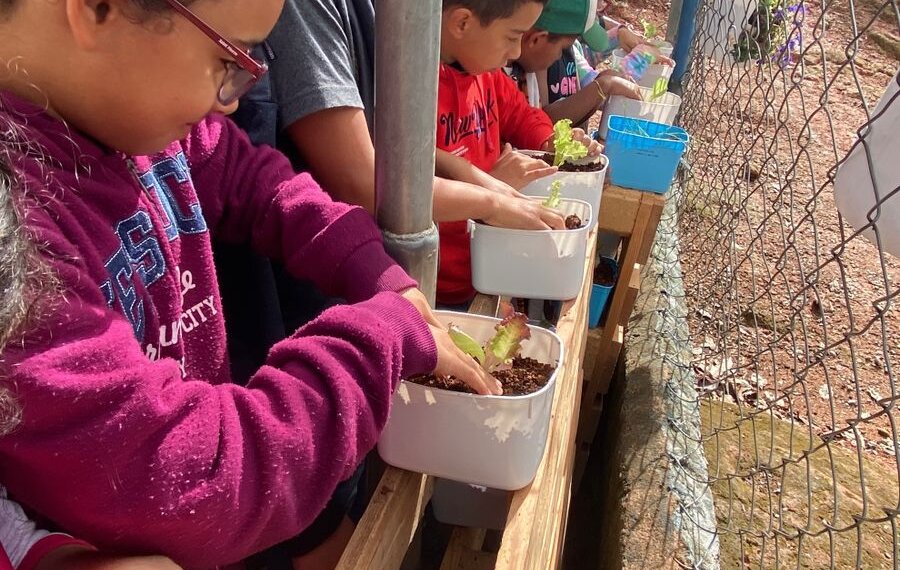 Prefeitura de Ibiúna leva educação ambiental com o projeto “Horta nas Escolas”